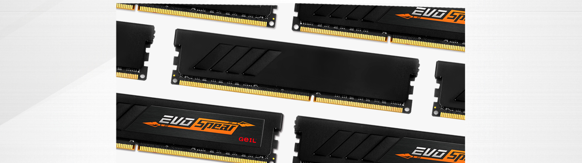 GeIL EVO SPEAR 16GB (2 x 8GB) DDR4 3200 (PC4 25600) Desktop Memory