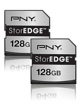StorEDGE