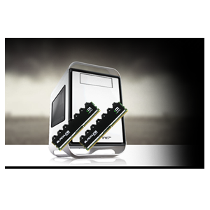 image for this item