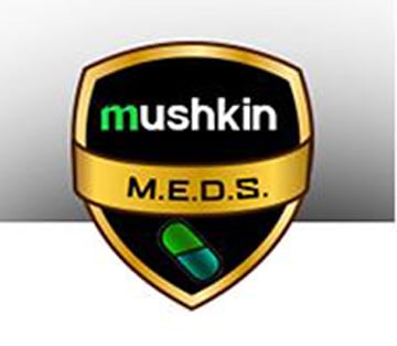 Mushkin Enhanced Data-protection Suite (M.E.D.S)