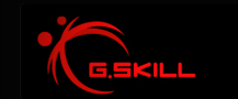 G.SKILL_logo