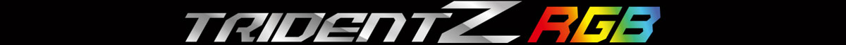  Stylized texts reading as “TridentZ RGB”  