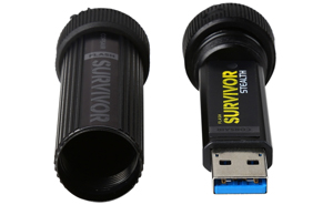 Corsair 256GB Survivor Stealth USB 3.0 Flash Drive (CMFSS3B-256GB