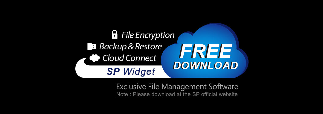 SP Widget for Easy Data Management