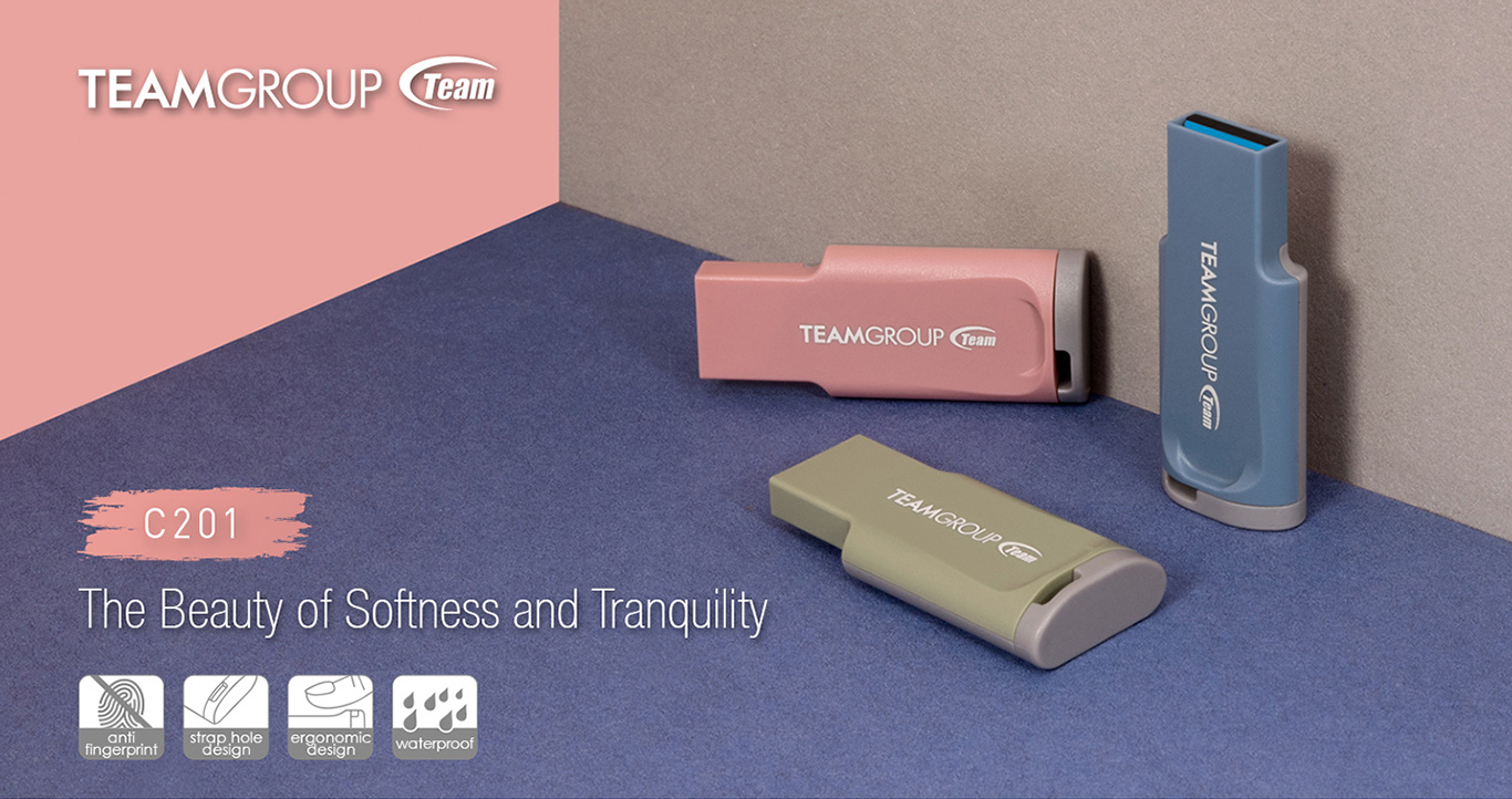 Team C201 Flash Drive facing forward and Team Group logo