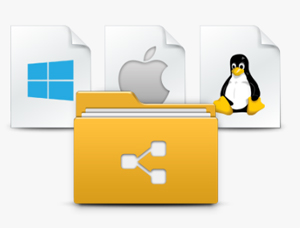 Synology