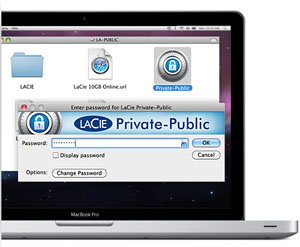 A Fifth Level of Data Security