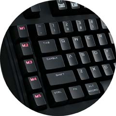 image for this item