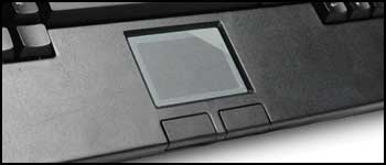 image for this item