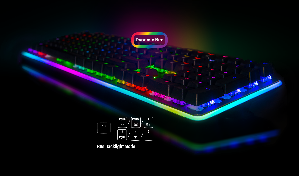 neon k81 RGB