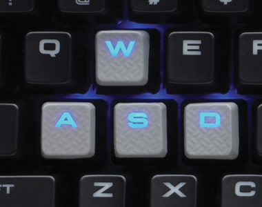image for this item