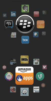 BLACKBERRY LEAP