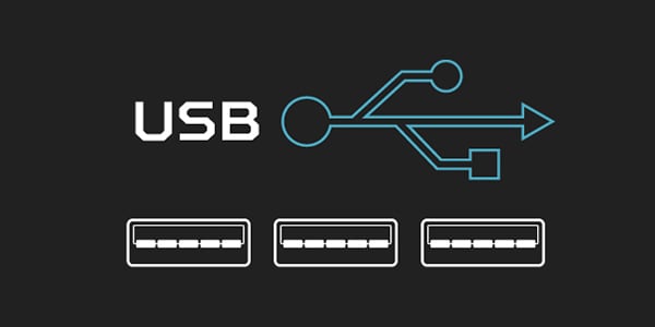 Three USB Port Graphics Under the USB Logo and Text