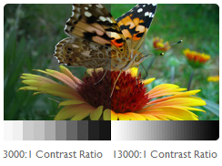 Ultra-High Contrast Ratio