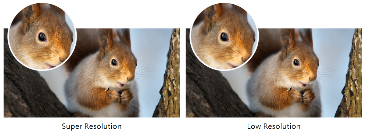 28 inch 4K HDR Video Enjoyment Monitor | EL2870U 