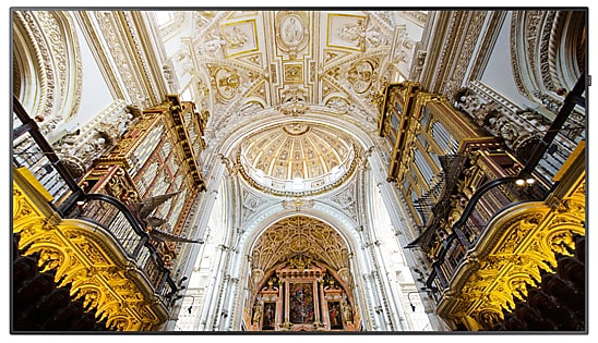 Samsung TV Facing Forward Showing the Inside of a Glamorous Cathedral's Ceiling from a floor perspective