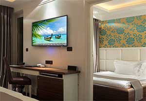 Viewsonic CDE4200-L LED Display