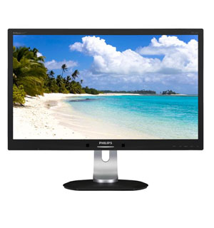 Philips LCD monitor 