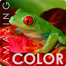 image for this item