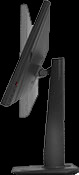 image for this item