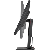 image for this item