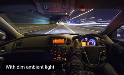 a driving video game in 1st person perspective