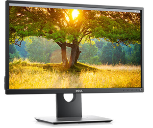 Used - Good: Dell P2417H Black 23.8