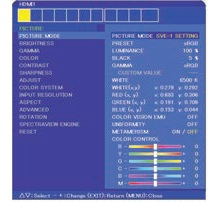 NEC Display Solutions