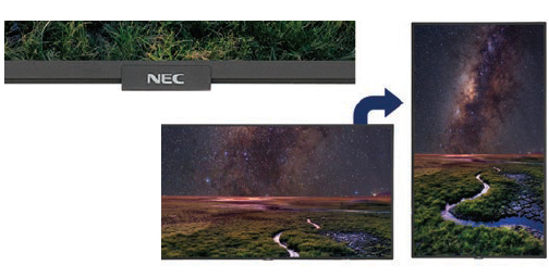 NEC Display Solutions