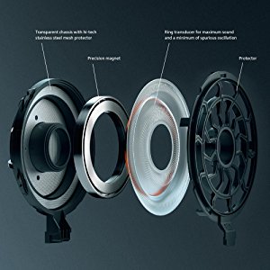 Ring Radiator Transducer