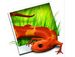 newegg