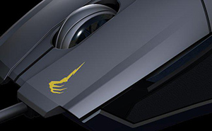 picture of the mouse