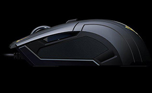 picture of the mouse