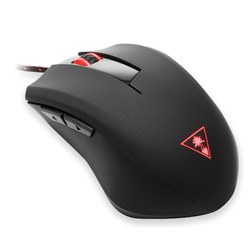 Turtle Beach