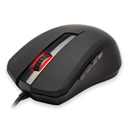 Turtle Beach
