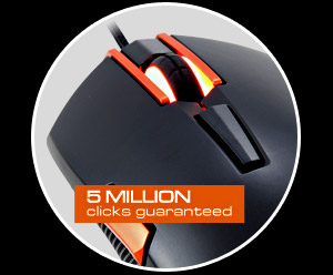 250M