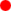 image for this item