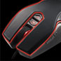 image for this item