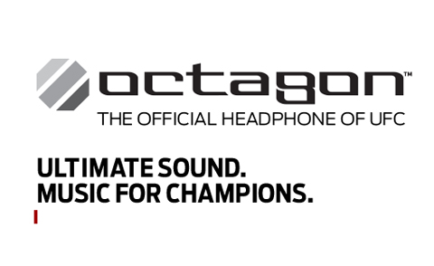 UFC Octagon