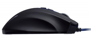 MS-SK2562