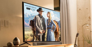 Vizio