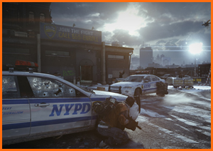 The Division