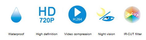 IP391W-HD
