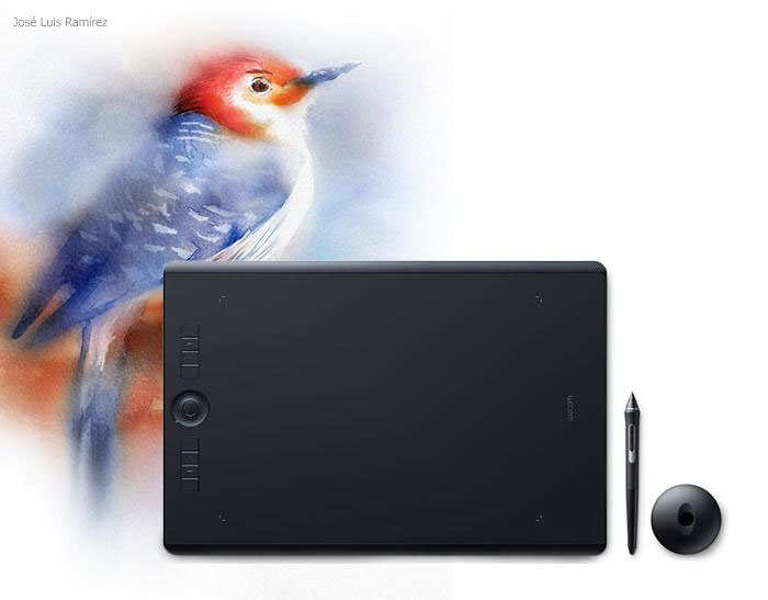 a picture of bird is behind a drawing tablet, a pen and a pen socket 