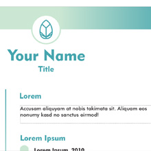 the page layout of a resume