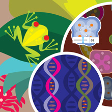 a sofisticated pattern