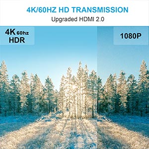 TESmart 1x4 4 Ports HDMI Powered Splitter