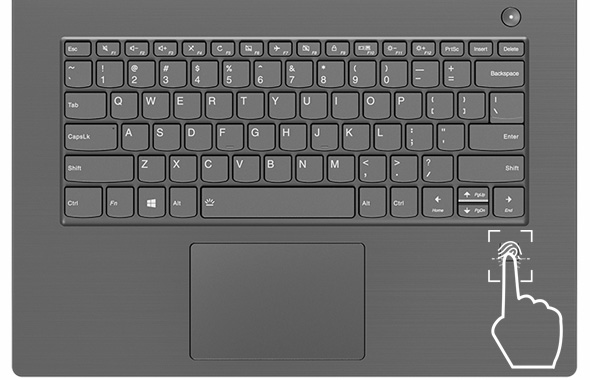image for this item