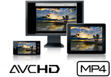 Canon Vixia HF R300