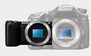 sony